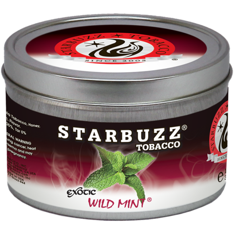 Starbuzz Silver 100gm Wild Mint 100